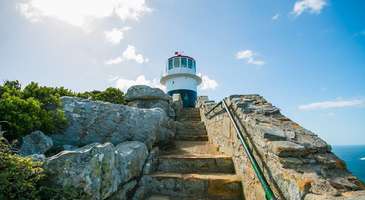 Cape Point’te sonsuz mavilikle buluşun  