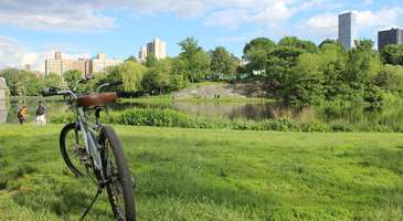 Central Park’ta bisikletle gezin  