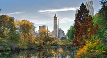 Central Park'ta doğa yürüyüşü yapın