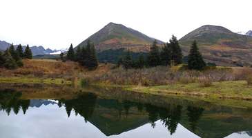 Chugach Eyalet Parkı’nda doğa manzaralarını seyredin