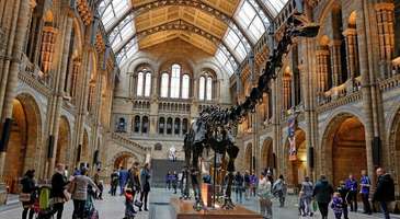 Cihad Müzesi’ndeki eserleri inceleyin