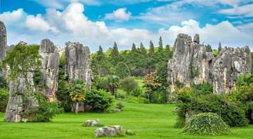 Fuzhou Ulusal Orman Parkı'nı ziyaret edin