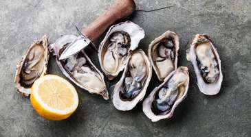 Colchester İstiridyesi