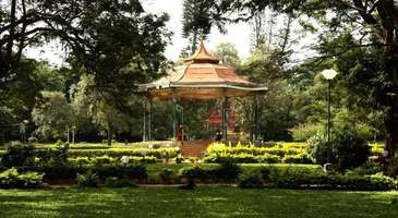 Cubbon Parkı’nın muhteşem doğasını, yapılarını ve heykellerini görün