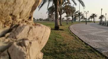 Dammam Cornishe’de piknik yapın