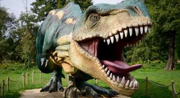 Dino Park
