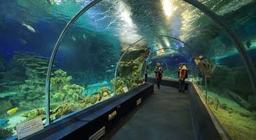 Discovery World Akvaryumu
