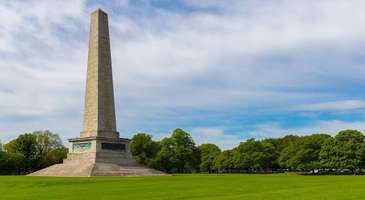 Phoenix Park’ta şehrin içinde ormanı yaşayın  
