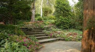 Edwards Gardens’da bahçeleri gez