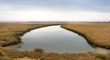Evros Deltası’nın muhteşem doğasını keşfedin