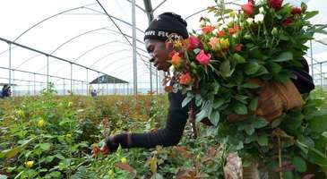 Lusuka International Festival of The Earth’e katılın