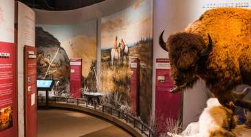 Frontier Texas Müzesi’ni ziyaret edin