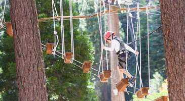 Fun Forest Park’ta ailece harika bir gün geçirin  