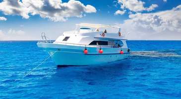 Sealine Center'da denizaltı canlılarını inceleyin