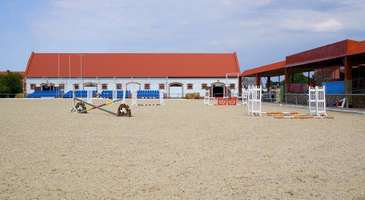 Georgenburg Stud Çiftliği’nde yürüyüşe çıkın