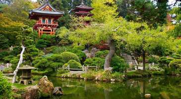 Golden Gate Parkı’nda manzarayı izleyin