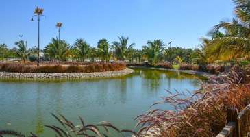 Yanbu Gölleri’ne gidin