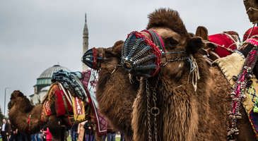 Yöresel festivallerde eğlenceyi doyasıya yaşayın