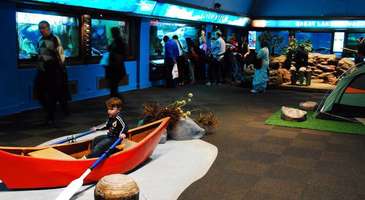 Great Lake Aquarium’u görün