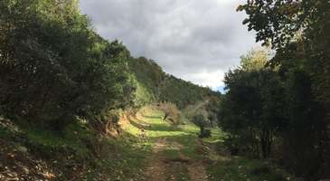 Hacıllı Köyü ve Kalemköy