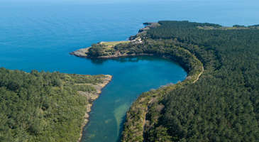 Hamsilos Koyu