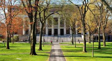 Üniversiteleri gezin 