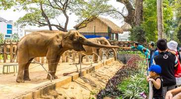 Sagion Botanik ve Hayvanat Bahçesi