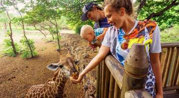 Kabil Hayvanat Bahçesi’nde zaman geçirin