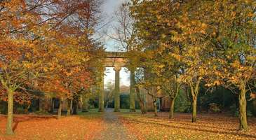Heaton Park’ta çimlerin üzerine uzanın  