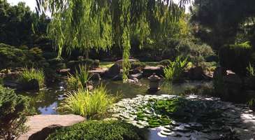 Himeji Bahçesi’nde Japon bahçe sanatının örneklerine şahitlik edin  