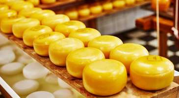 Dayanılmaz Hollanda lezzetlerini tadın 