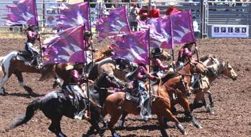 Horse Power for Kids