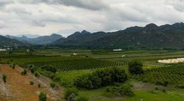 Hoşgörü Bahçesi’de denilen Dinler Bahçesi’nin avlusunda dolanın