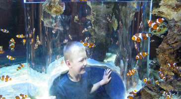 İki Okyanus Akvaryumu