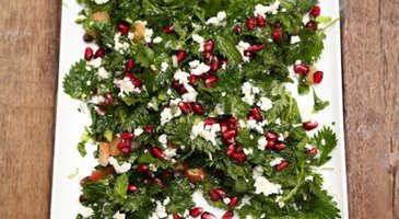 Isırgan Otu Salatası