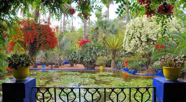 Jardin Majorelle: