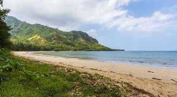 Kahana Beach Park’ta sörf yapın