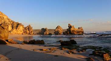 Kanguru Adası’nda sevimli kanguruları ziyaret edin  