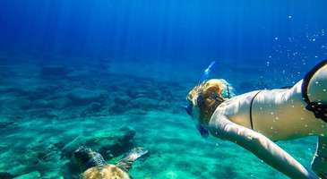 Çayağazı plajında Caretta Carettalarla yüzün, dalış yaparak daha derinlerle kucaklaşın