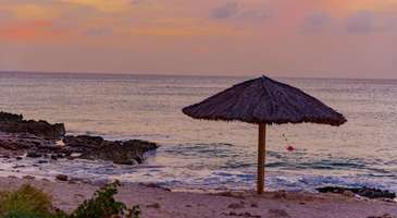 Karayip Denizi’nin derinlerini keşfedin