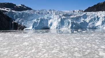 Kenai Fjords Milli Parkı’nda tekne turu yapın
