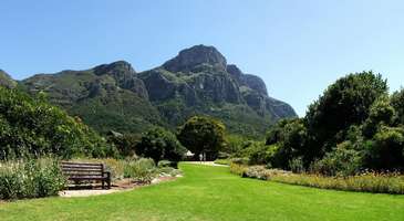Kirstenbosch Ulusal Botanik Bahçeleri