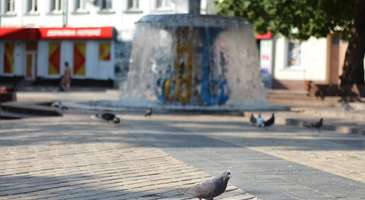 Novoukrainka, Kirovohrad viloyati, erotik oyin-kulgi