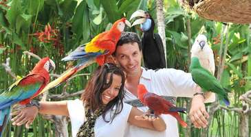 Bali Kuş Parkı’nda harika bir gün geçirin
