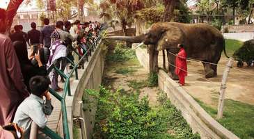 Hayvanat bahçesinde eğlenin
