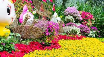 Lianhua Mountain Park