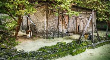 Hulhudhoo’daki taş evleri görün