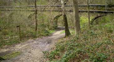 Meanwood Valley Trail’in gizli cevherlerini keşfedin