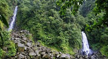 Morne Trois Pitons Milli Parkı’nda bir gün geçirin