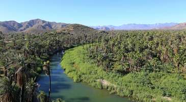 Mulege koylarını gezin
